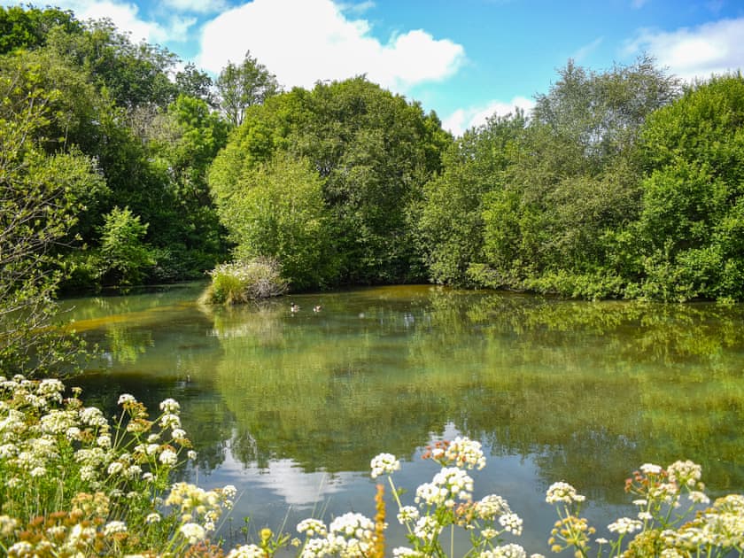 Surrounding area | Oak Park Two - Oak Park Lakes, Tiverton