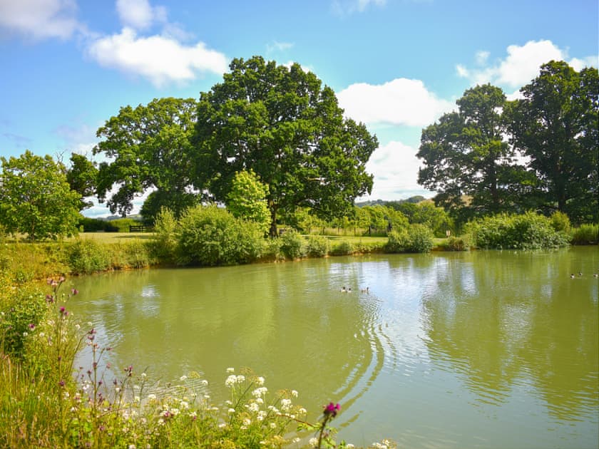 Surrounding area | Oak Park Two - Oak Park Lakes, Tiverton