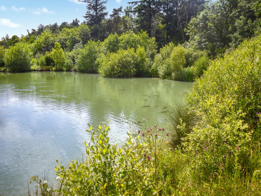 Surrounding area | Oak Park Two - Oak Park Lakes, Tiverton