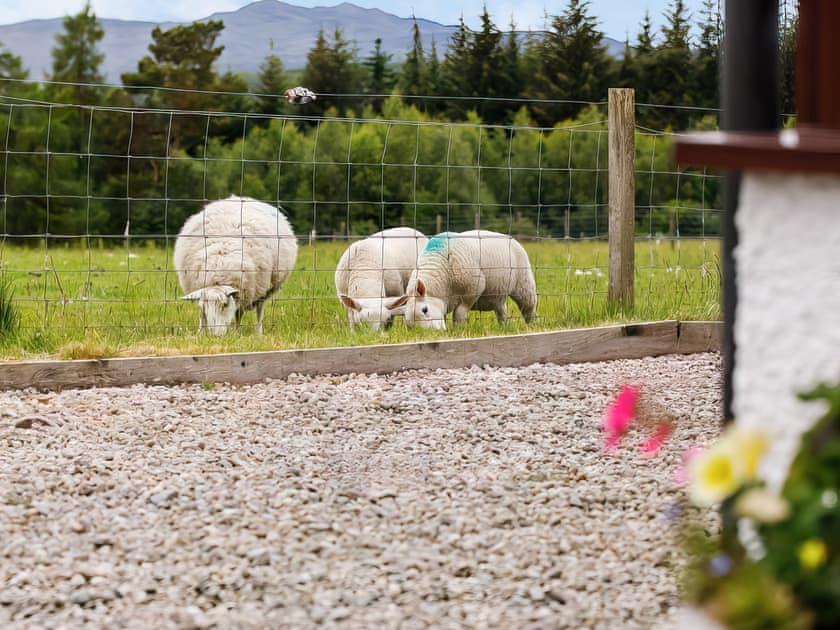 Exterior | Drumlea Cottage, Bonar Bridge, near Lairg