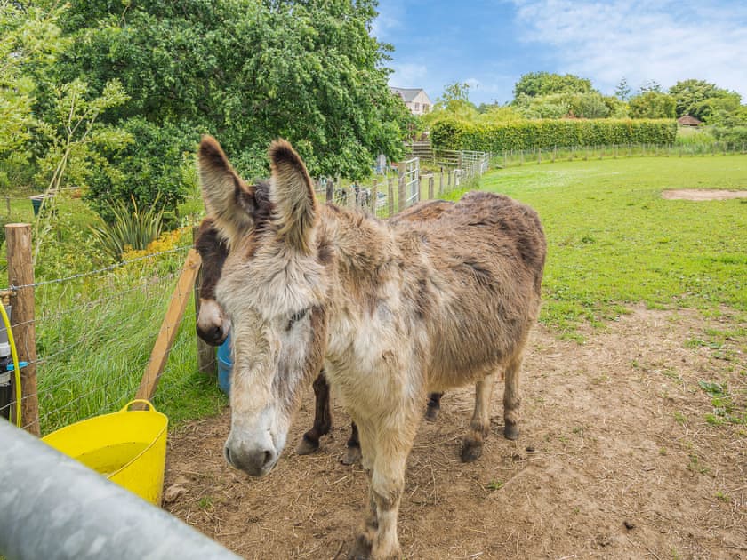Surrounding area | Swallows Nest, Cockermouth and the North West Fells