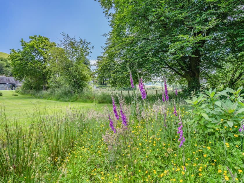 Surrounding area | The Old Cowsheds 2 - Shippon - Gaer Cottages, Cribyn, Lampeter
