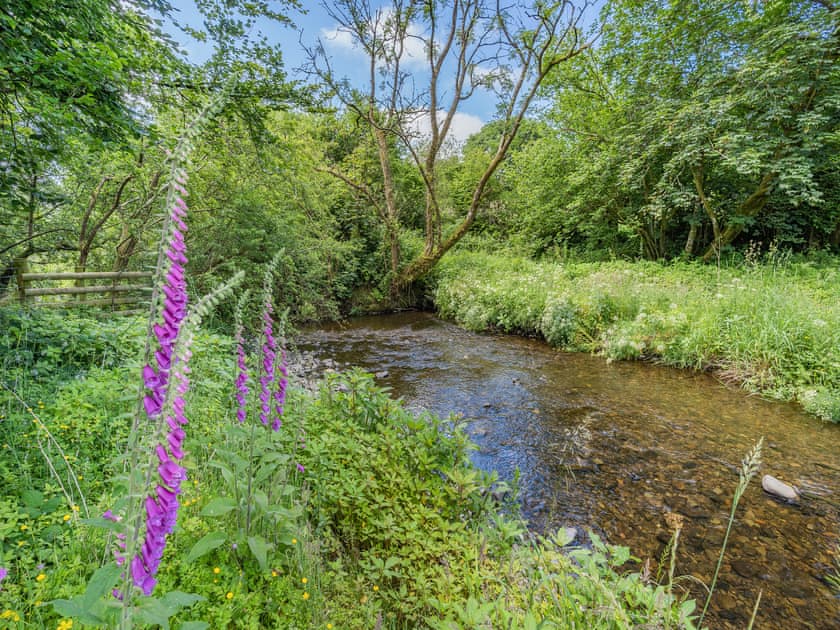 Surrounding area | The Old Cowsheds 2 - Shippon - Gaer Cottages, Cribyn, Lampeter