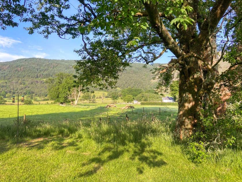 Surrounding area | Hobgoblin Apartment - Hobgoblin Holiday Apartments, Glendaruel