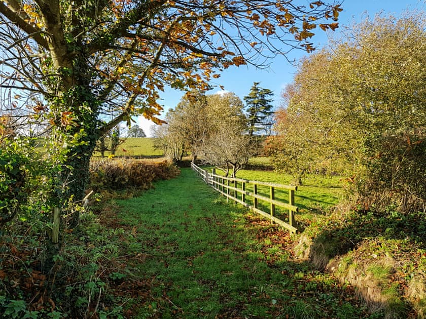 Surrounding area | Brigand - Furley Cottages, Membury, near Axminster