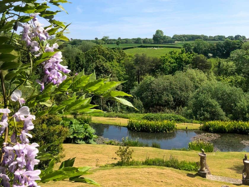 Surrounding area | Britannia - Furley Cottages, Membury, near Axminster
