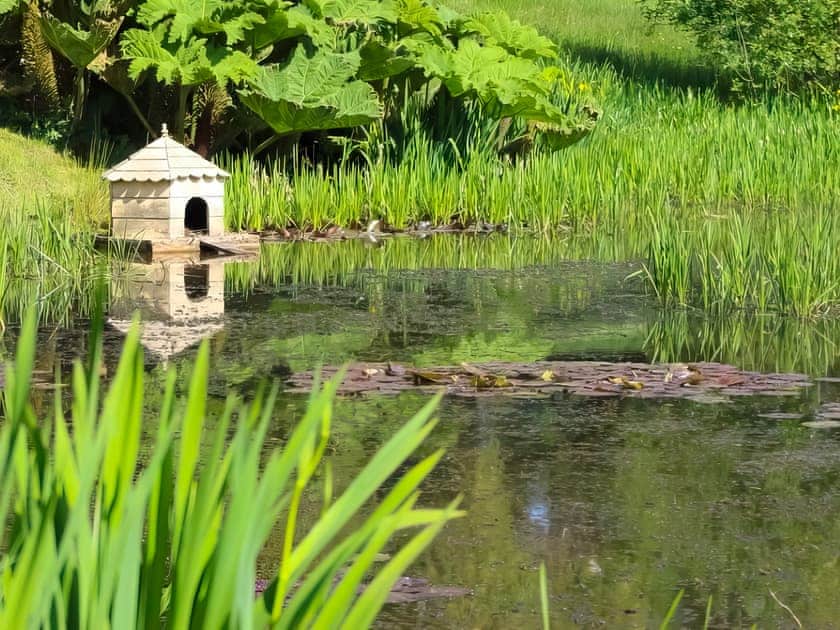 Surrounding area | Britannia - Furley Cottages, Membury, near Axminster