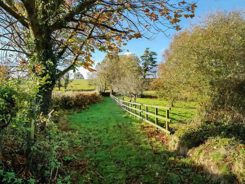 Surrounding area | Britannia - Furley Cottages, Membury, near Axminster