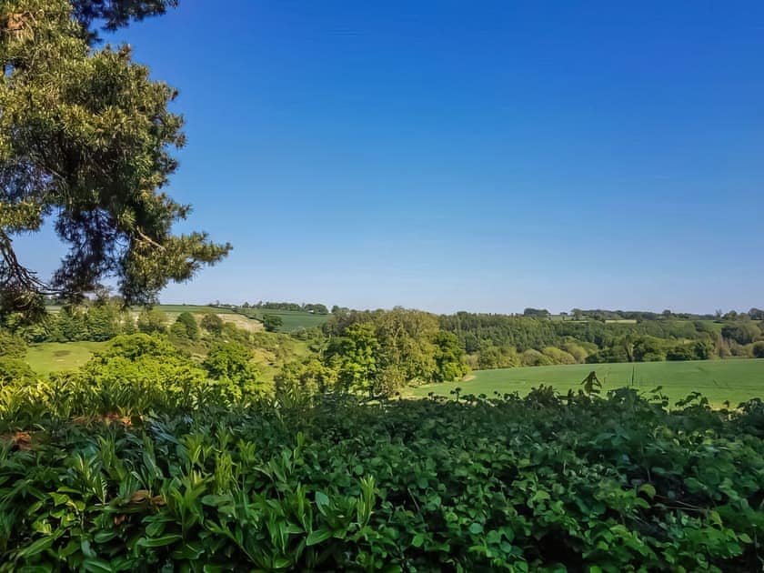 Surrounding area | Britannia - Furley Cottages, Membury, near Axminster