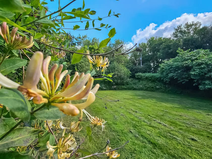 Surrounding area | The Annexe - Lurley Manor, Lurley, near Tiverton