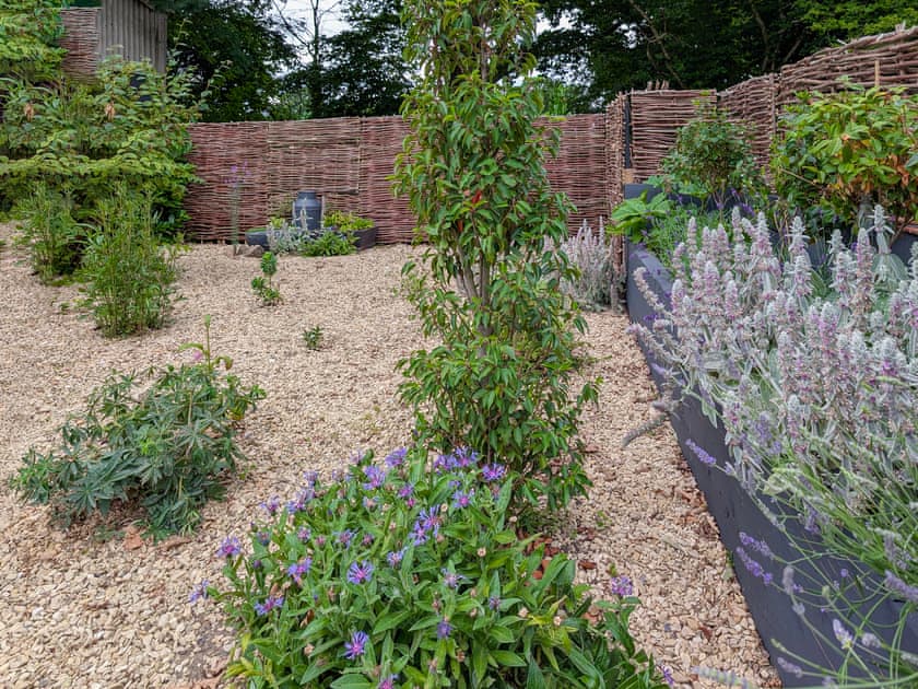 Enclosed garden | Little Barn, Great Cheverell