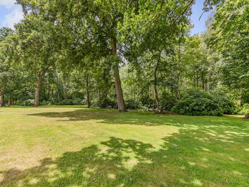 Garden and grounds | The Cottage - Whitmoor Farm, Woking, near Guildford
