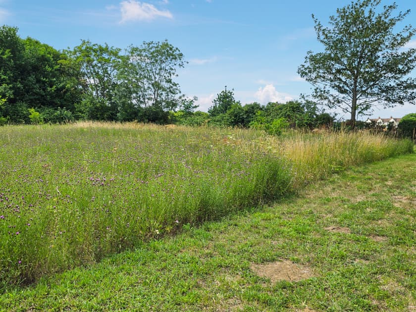 Outdoor | Belt Annexe, Writtle, near Chelmsford