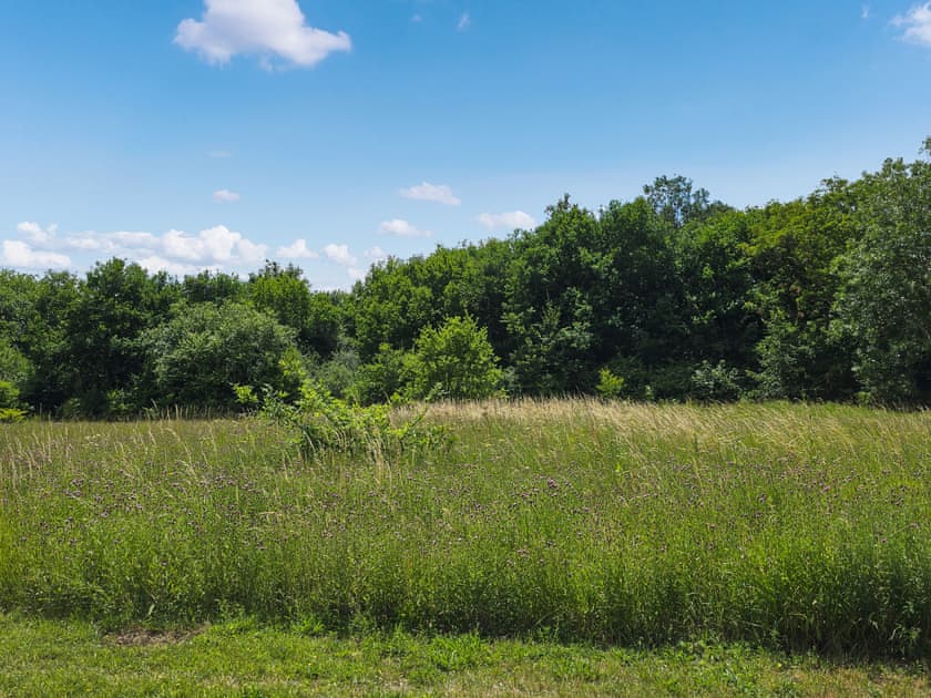 View | Belt Annexe, Writtle, near Chelmsford