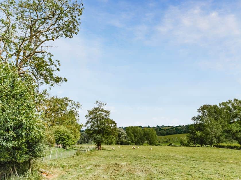Surrounding area | The Shearing Shed, Rye Foreign, near Rye