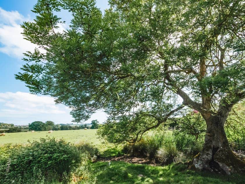 Surrounding area | The Shearing Shed, Rye Foreign, near Rye