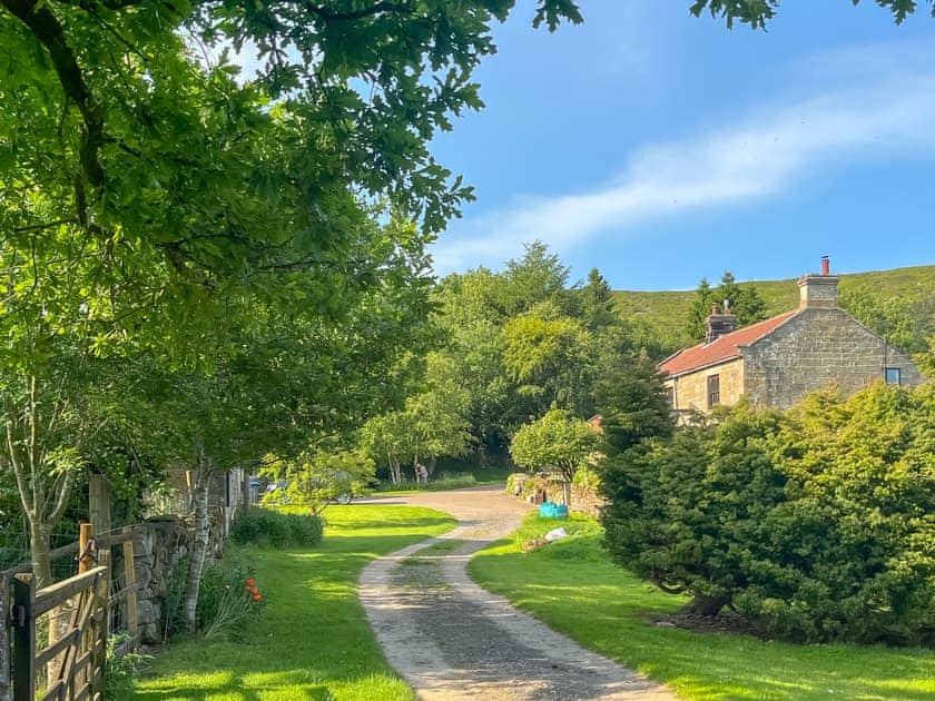 view from the entrance gate | Crossbill Cottage, Chopgate near Stokesley