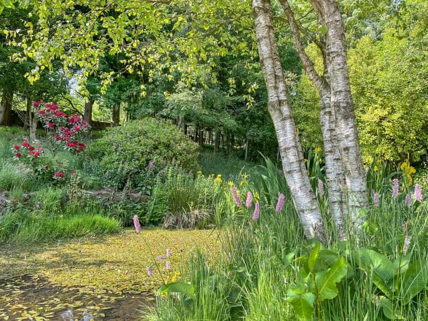 pond | Crossbill Cottage, Chopgate near Stokesley