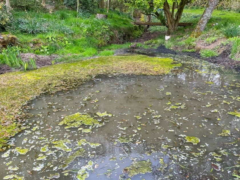Surrounding area | Crossbill Cottage, Chopgate near Stokesley