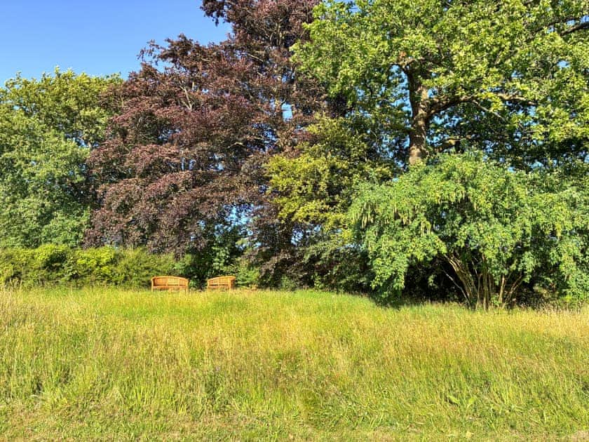 Garden | Lavender Cottage - Goldburn Barns, near Okehampton