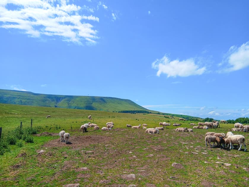 Come and explore our fabulous countryside, rural Herefordshire at its best | East View Farm : Badgers Den - East View Farm, Westbrook