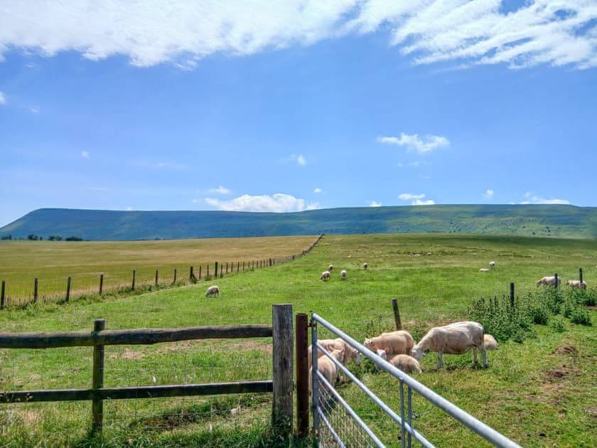 Surrounding area | East View Farm : Badgers Den - East View Farm, Westbrook