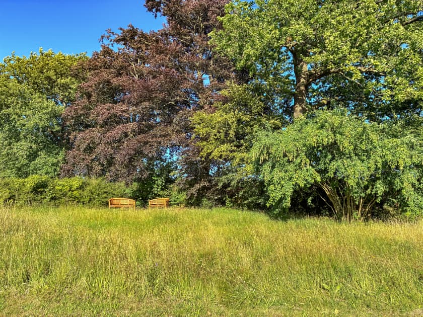 Garden | Beech cottage - Goldburn Barns, near Okehampton