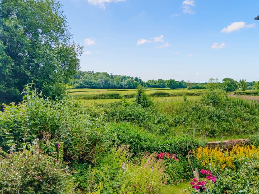The challenge of Little Mountain, from the doorstep | East View Farm: Gooses Roost - East View Farm, Westbrook