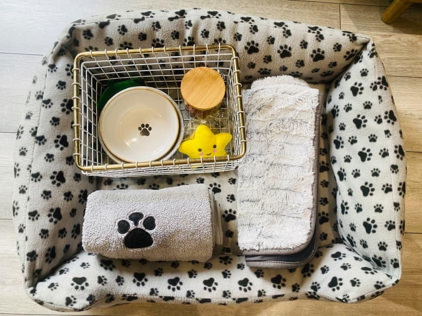 Dog friendly | Vitamin Sea Residency, Herne Bay