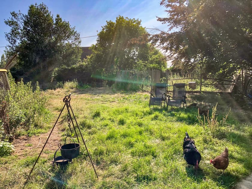 Outdoor | Romney Wagon, Hailsham