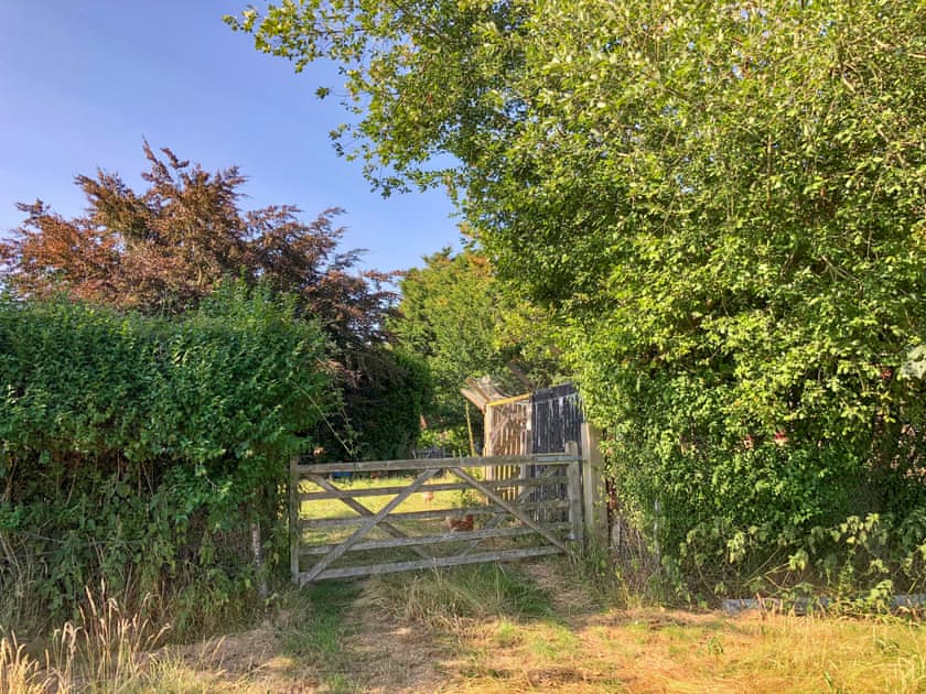 Surrounding area | Romney Wagon, Hailsham