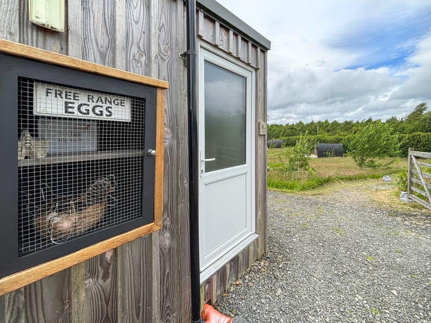 Outdoor | The Sheep Pod - Glampio Cae Pella, Welshpool