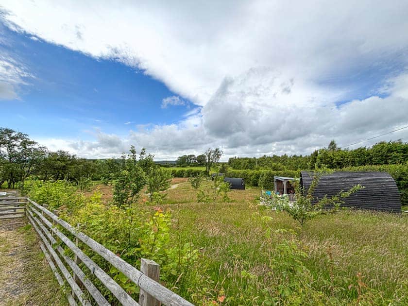 Surrounding area | The Sheep Pod - Glampio Cae Pella, Welshpool