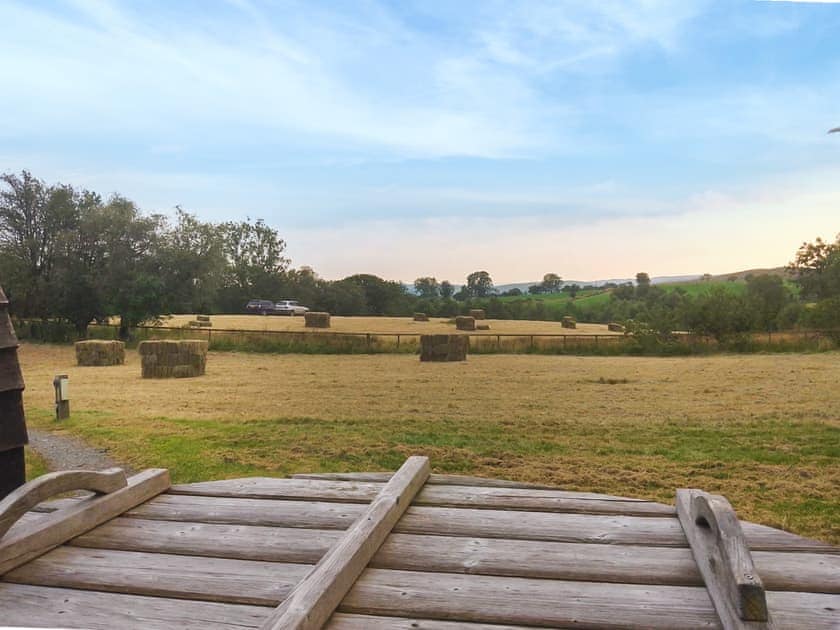 Surrounding area | The Sheep Pod - Glampio Cae Pella, Welshpool