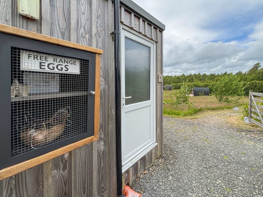 Outdoor | The Hedgehog Pod - Glampio Cae Pella, Welshpool
