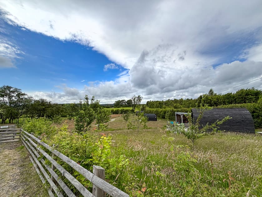 Surrounding area | The Hedgehog Pod - Glampio Cae Pella, Welshpool