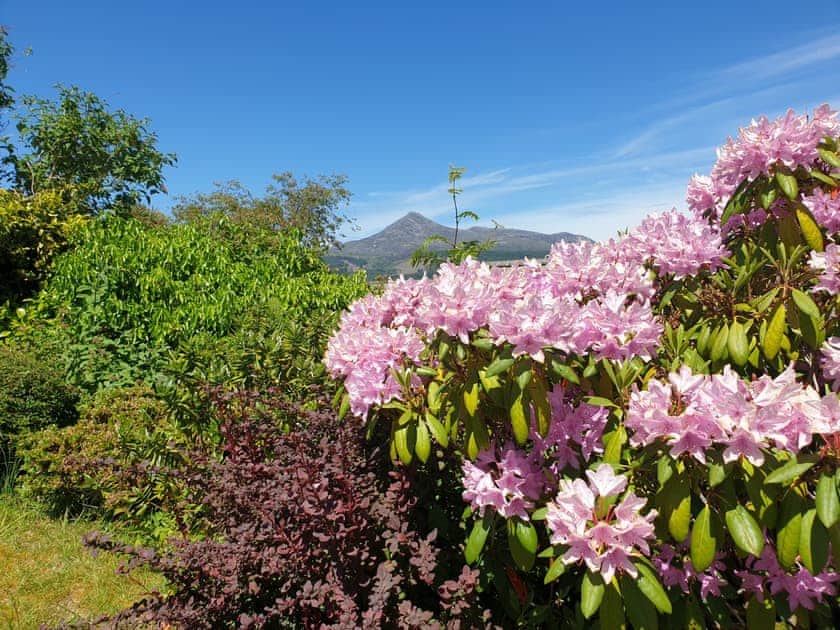Garden | Bay View, Brodick