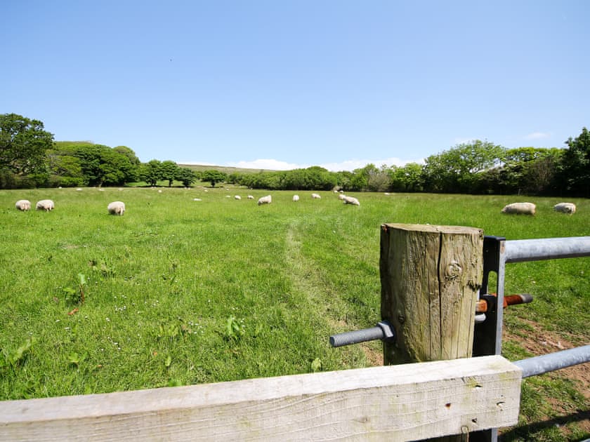 Surrounding area | Windsmoor Cottage on Gower, Perriswood, near Oxwich