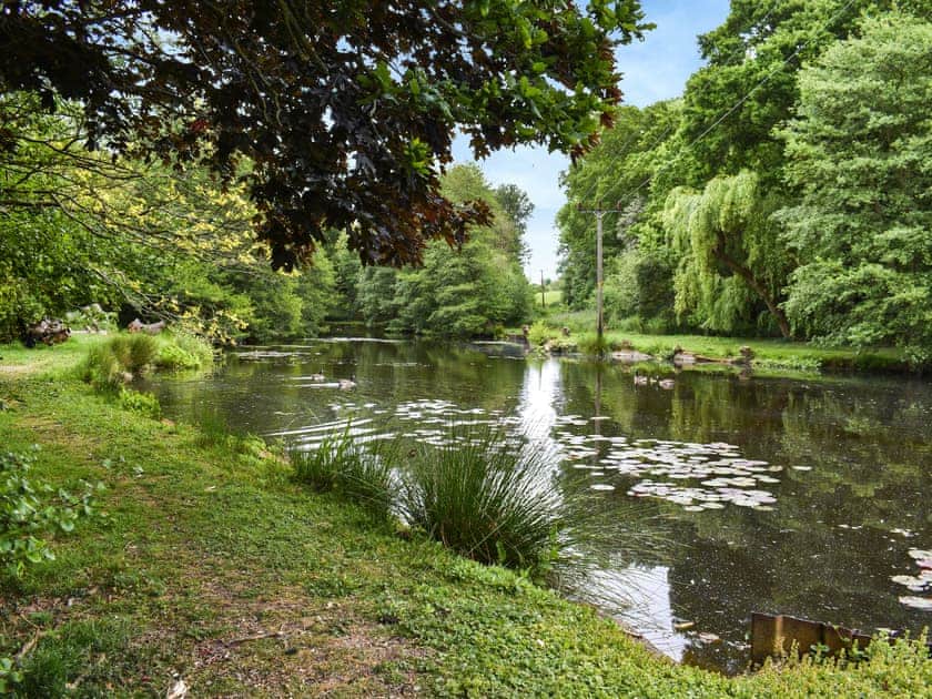 Garden and grounds | Spring Vale Bungalow, Colchester