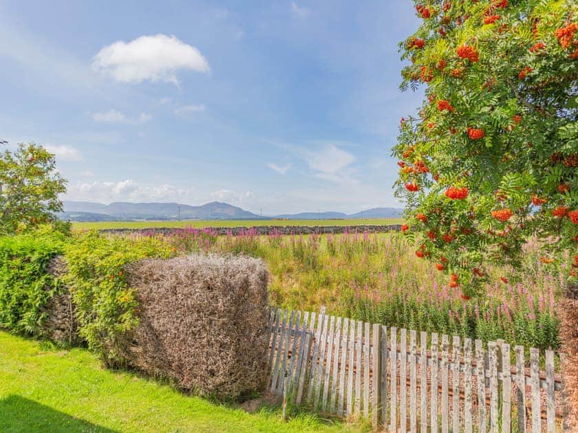 Garden | Sunny Firth, Tain