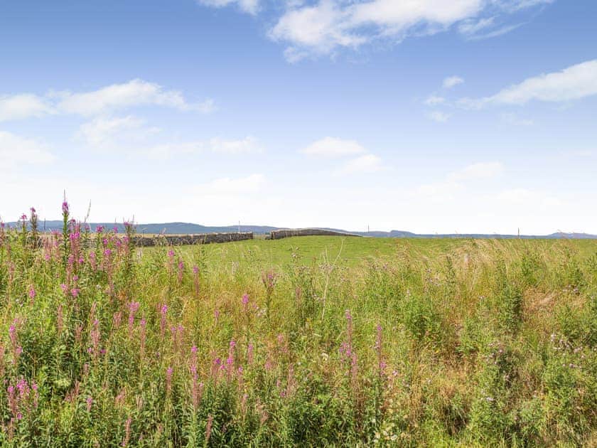 Surrounding area | Sunny Firth, Tain