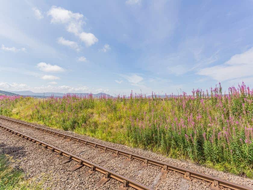 Surrounding area | Sunny Firth, Tain