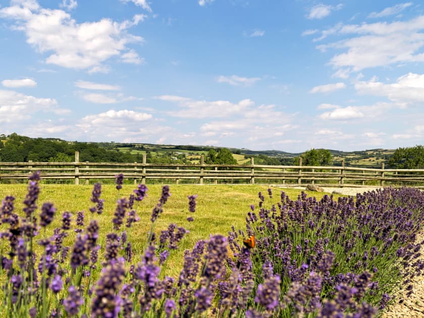 View | Springhill Lodge, Idridgehay, near Belper