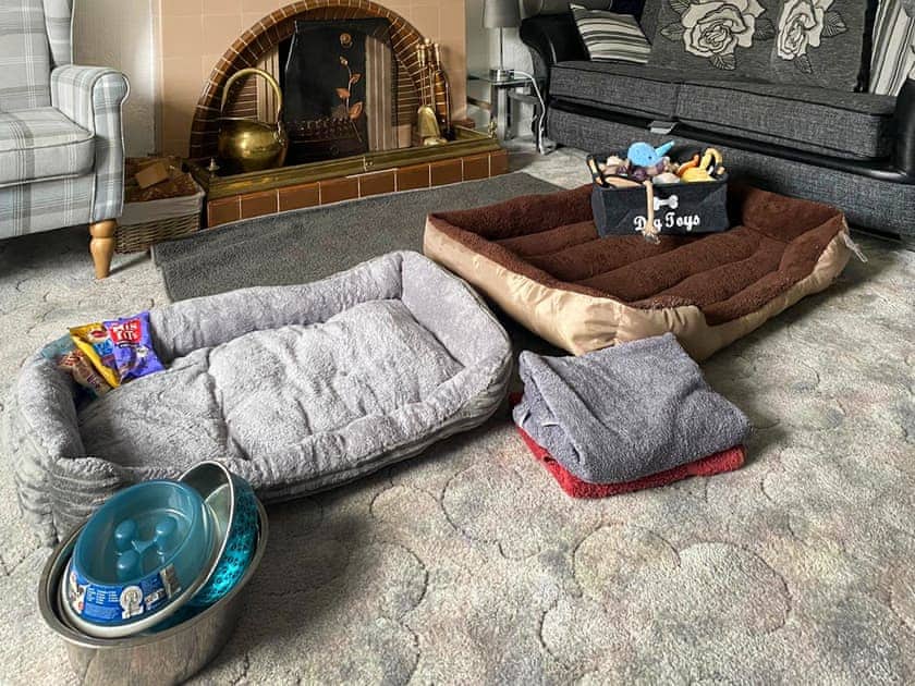 Doggie requirements | Ivy House, Kingussie