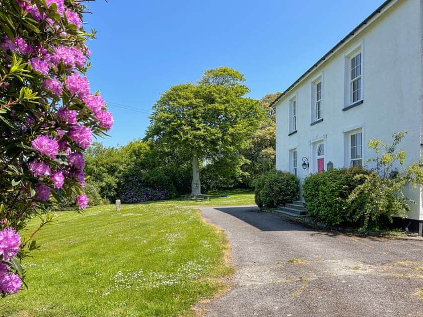 Hafod Grove in May | Hafod Grove - Hafod Grove and Fach, Moylegrove, near Ceibwr Bay