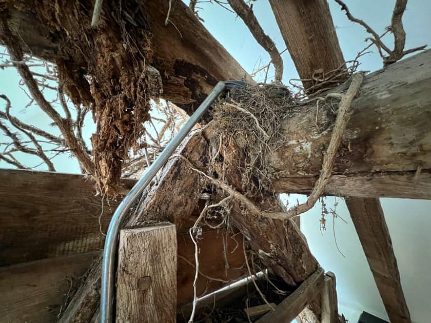 Bedroom two, old bird’s nest and new conduit | Croft Lodge Studio, Leominster