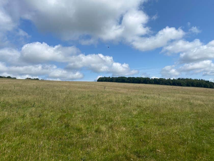 Bircher Common, grassland with Oaker Coppice in the distance | Croft Lodge Studio, Leominster