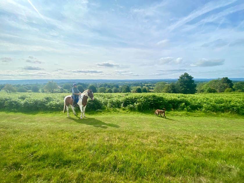 Bircher Common with horse, rider and dog | Croft Lodge Studio, Leominster