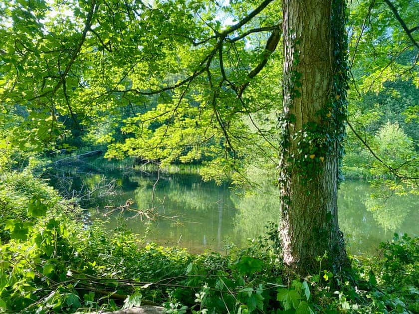 Fish Pool Valley, an eighteenth century picturesque landscape, adjacent to the studio  | Croft Lodge Studio, Leominster