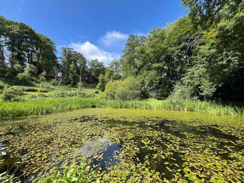 Fish pool two | Croft Lodge Studio, Leominster